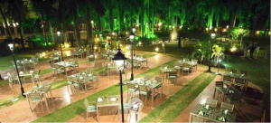 9 Must Visit Restaurants in Baroda