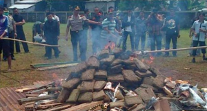 Indonesian Police Burn 3.3 Tons Of Weed, Entire City Gets High