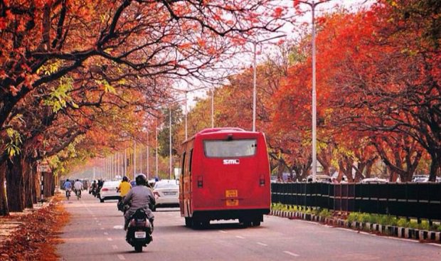 7 Reasons Why Living In Chandigarh Is Awesome