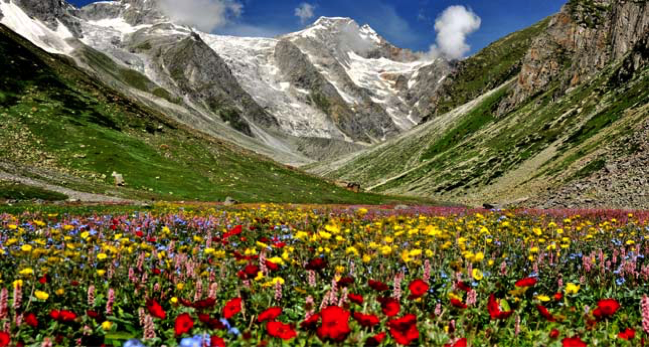 valley of flowers in uttarakhand
