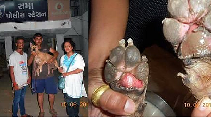 Two Crual Vadodara Guys Tied A Female Dog and Dragged her On Road at 100km/hr