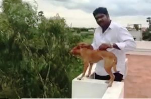 This Man Threw A Dog Off A Terrace And Made A video, Help Us Catch This Bastard