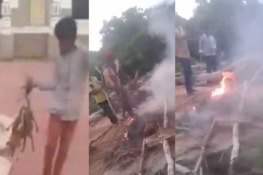 Group Of Hyderabadi Boys Burnt 3 Pupies Alive , What Is Wrong With Humanity ?