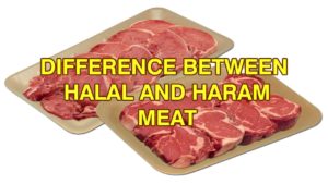 What is the Difference Between Jhatka and Halal Meat?