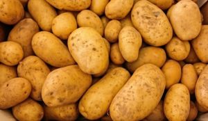 SECTION 22 OF THE MARKETING OF POTATOES ACT 1946