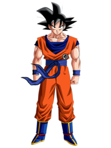 Goku Costume