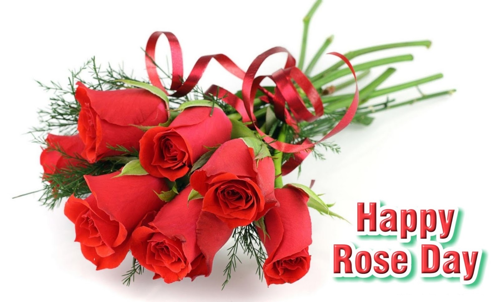 Rose day wallpapers free download