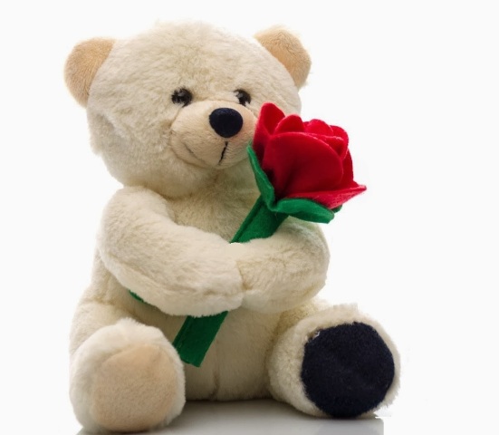 cute teddy day images