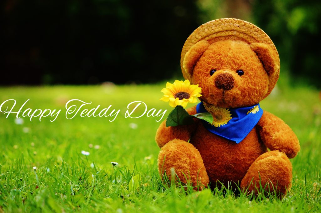 download teddy day images in hd