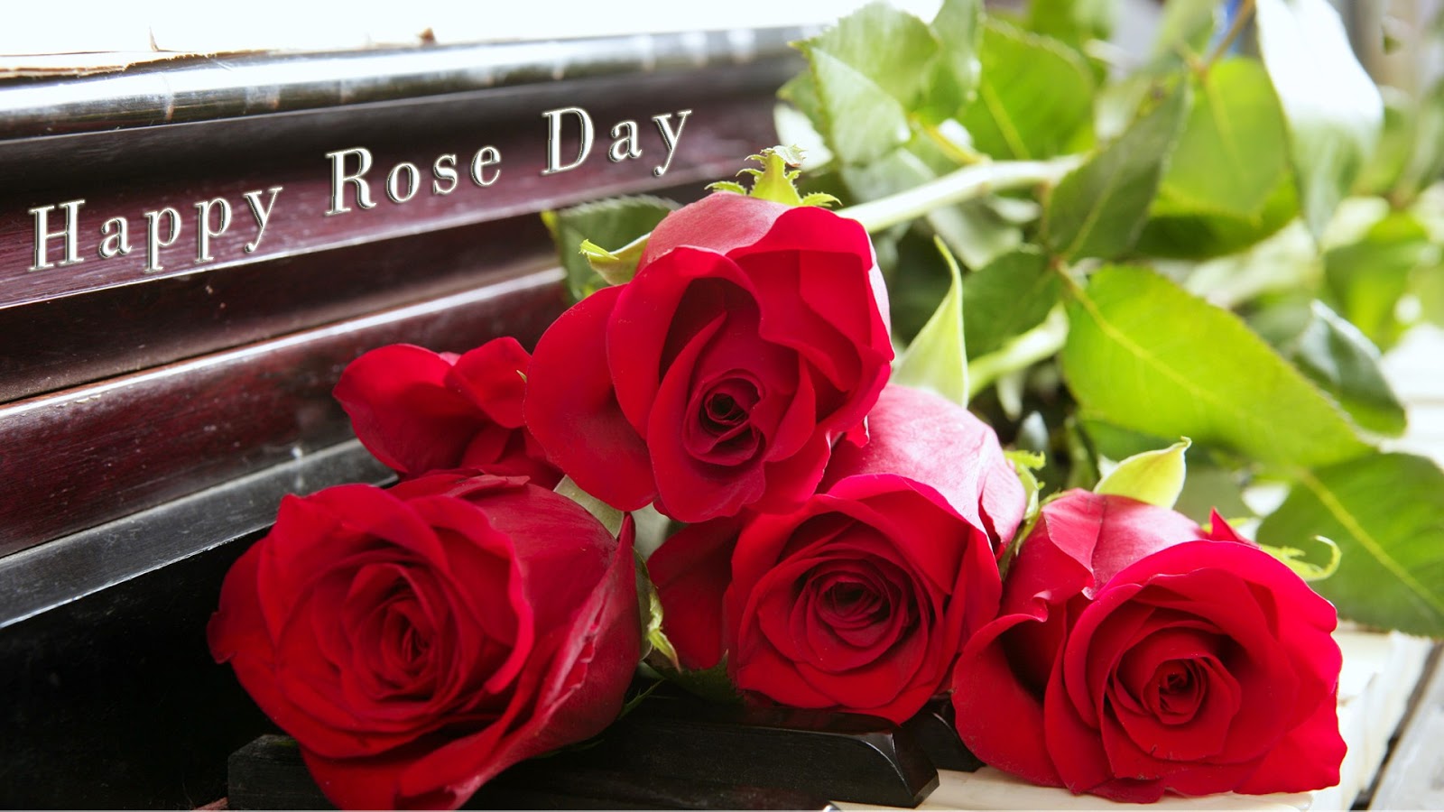 Featured image of post Happy Rose Day Images Hd : Rose day 2021 wallpapers hd.