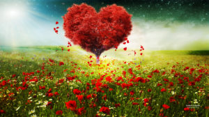 happy valentines day images hd