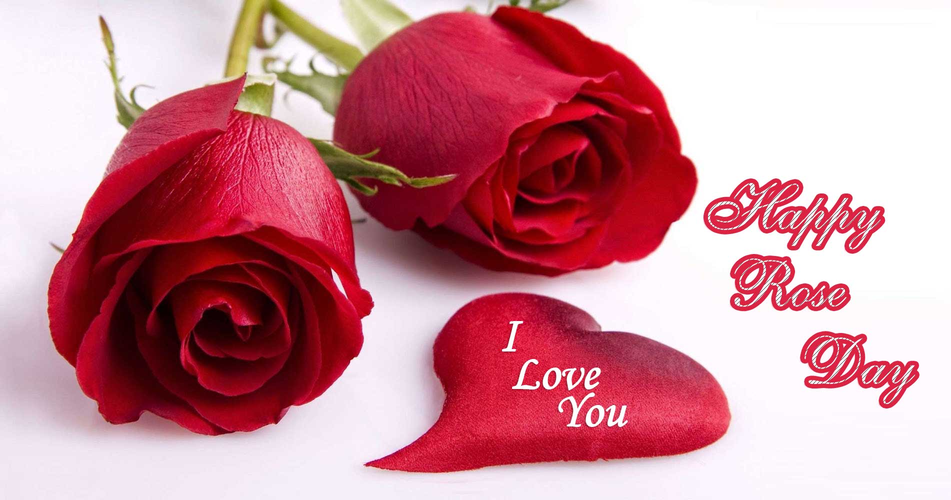 Happy Rose Day Images, Pictures, Pic & Wallpapers Download 2023 HD