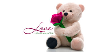 teddy day images free