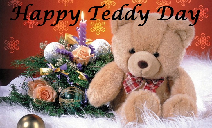 teddy image download