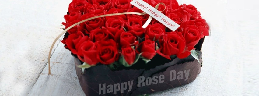 wish you happy Rose Day