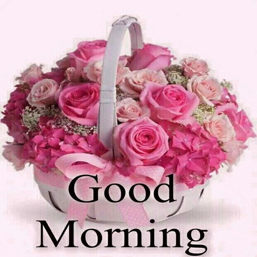 good morning wishes for whatsapp