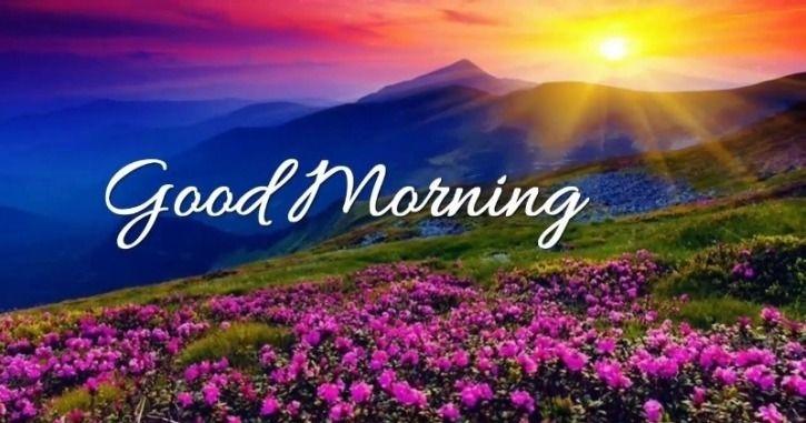 100+ Good Morning Quotes, Messages, Wishes, SMS, Shayari