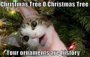 christmas tree cat meme