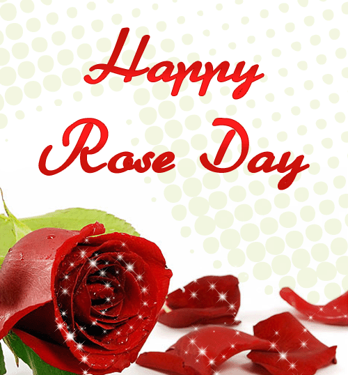 happy rose day gif 3d pics download free hd