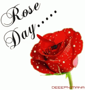 rose day gif download
