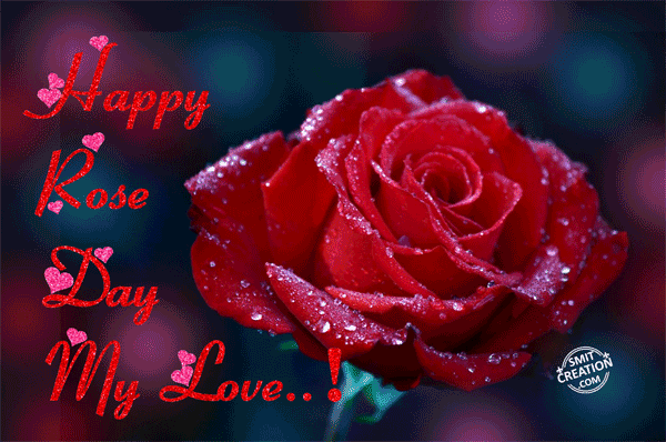 rose day gif wishes