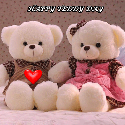 Happy Teddy Day GIFs, 3D Pics, WhatsApp DP for GF and BF