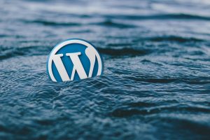 top 10 best wordpress plugins for your website