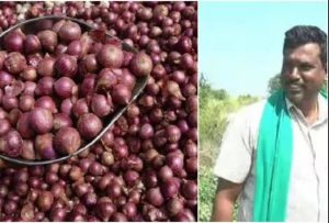 Perks of Onion Price Rise: A Farmer for Karnataka Becomes Crorepati