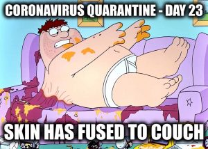 Quarantine Meme