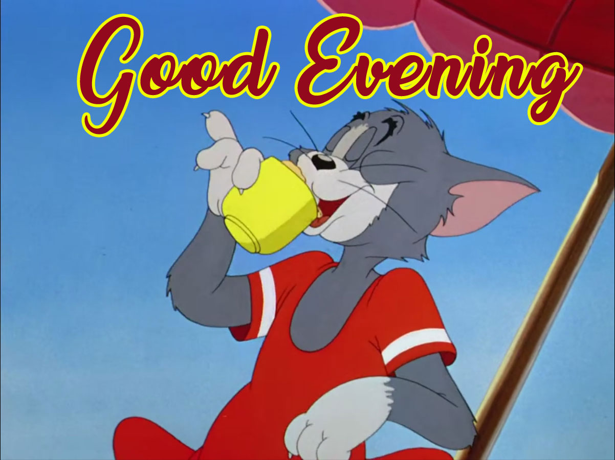 funny tom and jerry good evening memes