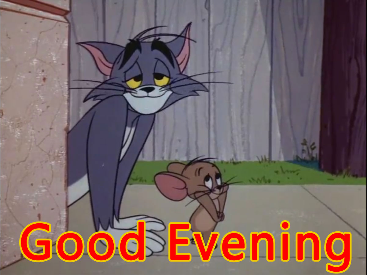 Funny tom and jerry Good Evening Memes