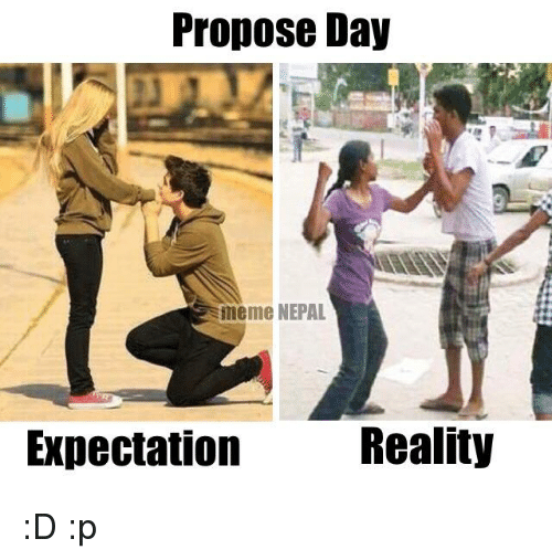 propose day expection vs reality memes