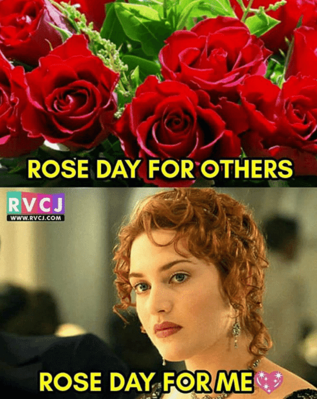 rose day memes funny