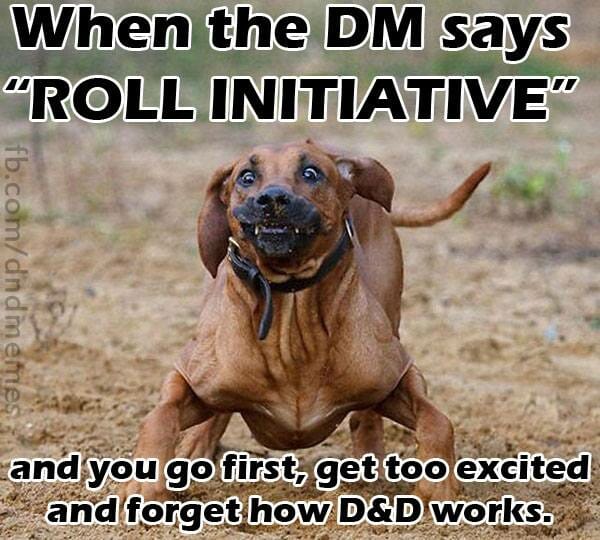 DnD Memes Roll Initiative