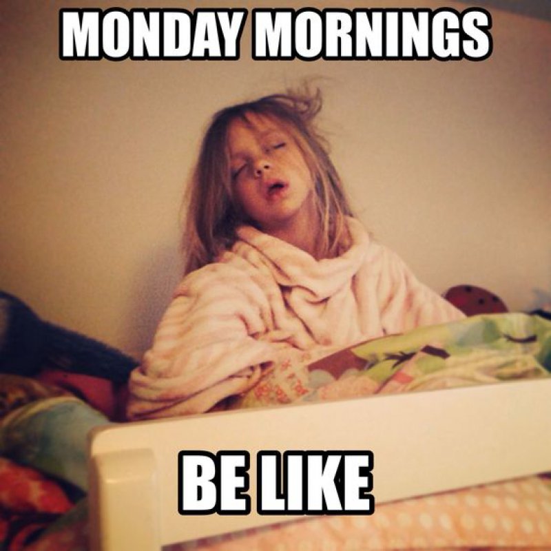 50 Funny Happy Monday Memes To Cheer You Up On The Day We Hate 