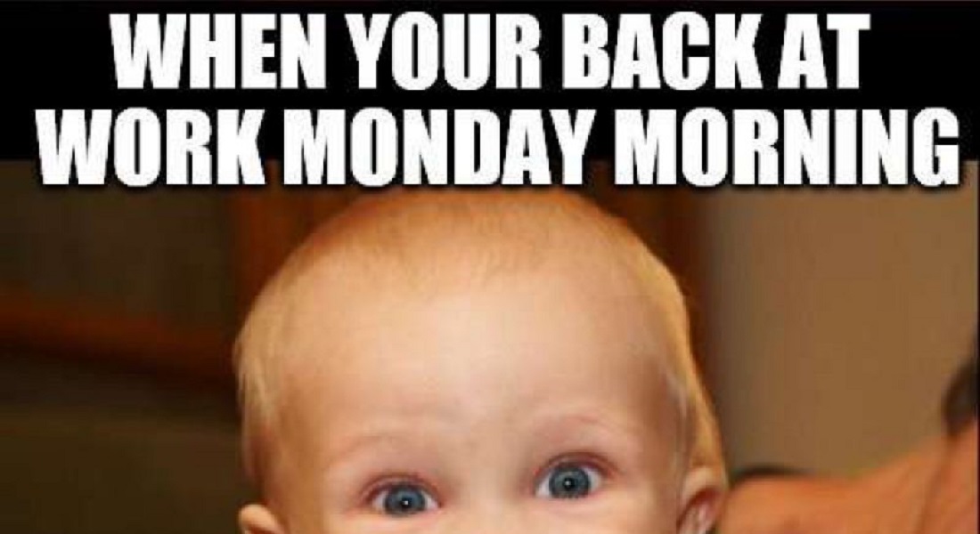 50+ Funny Happy Monday Memes To Cheer You Up On The Day We Hate
