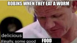 Finally Some Good Food Memes