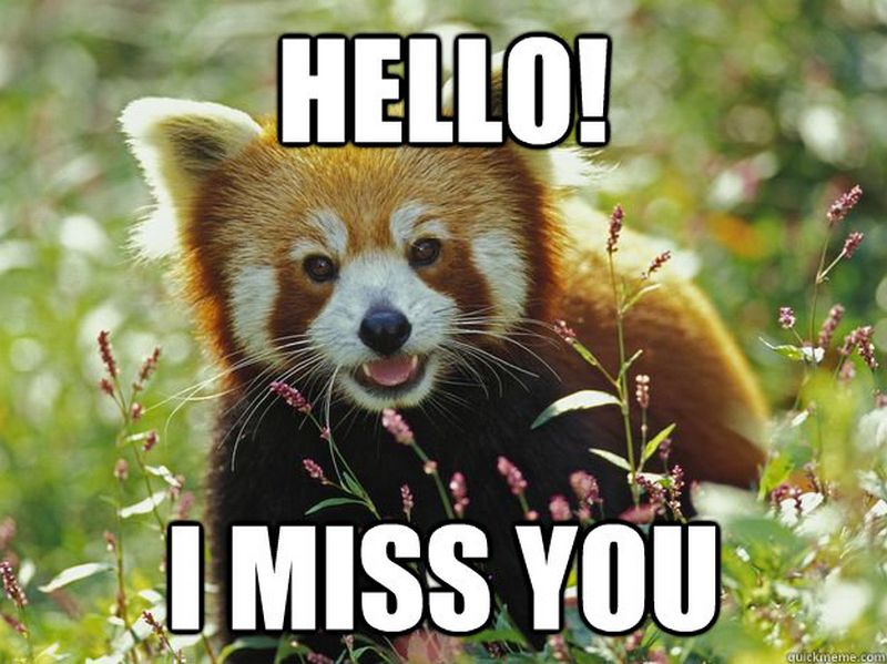 50 Cutest I Miss You Memes Of All Time For People You Care For