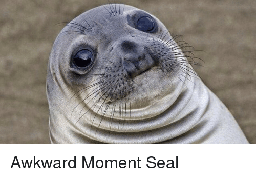 Awkward Moment Seal meme