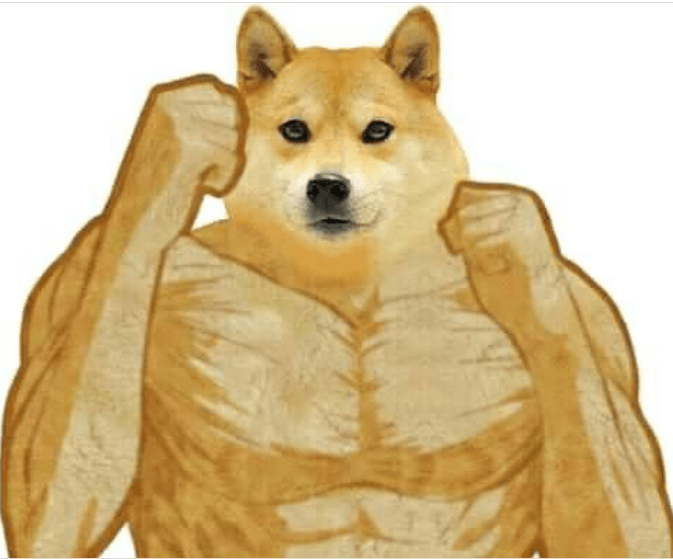 Doge Meme