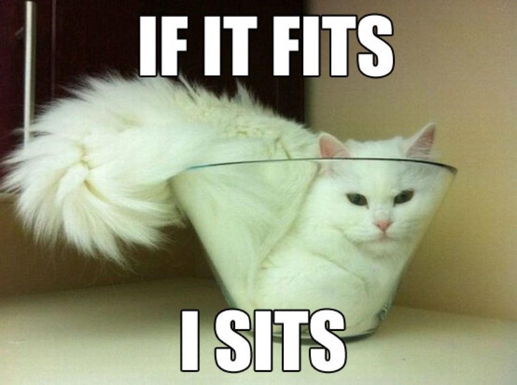 If It Fits, I Sits meme