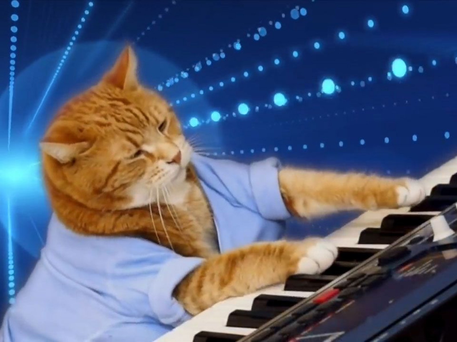 Keyboard Cat meme