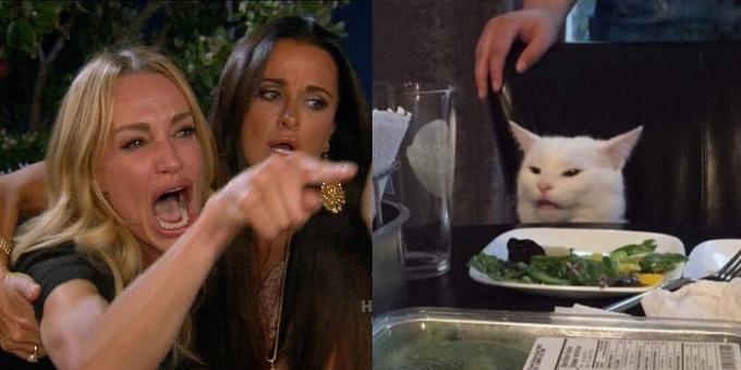 Woman Yells at Confused Cat