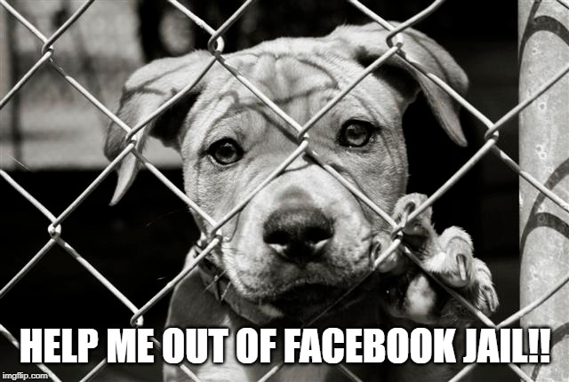 50+ Funny Facebook Jail Memes to Avoid Being Blocked / Get Out of It