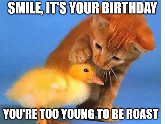 50+ Funny Happy Birthday Memes To Give Them A Laugh