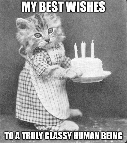 50 Funny Happy Birthday Memes To Give Them A Laugh