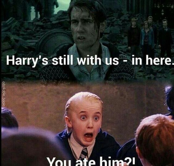50+ Harry Potter Memes That Will Always Make You Laugh