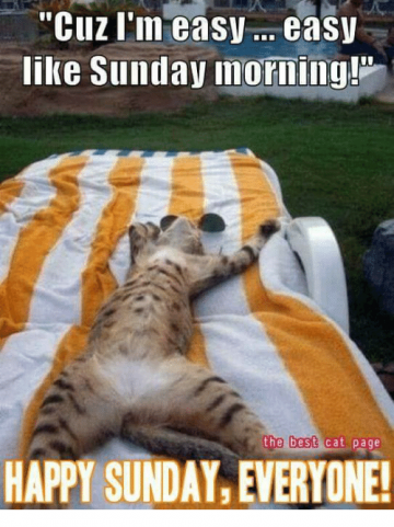 50+ Funny Happy Sunday Memes That Are Perfect for Lazy Sundays