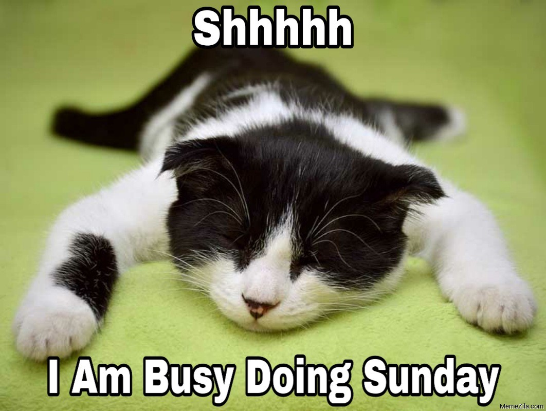 50 Funny Happy Sunday Memes That Are Perfect For Lazy Sundays