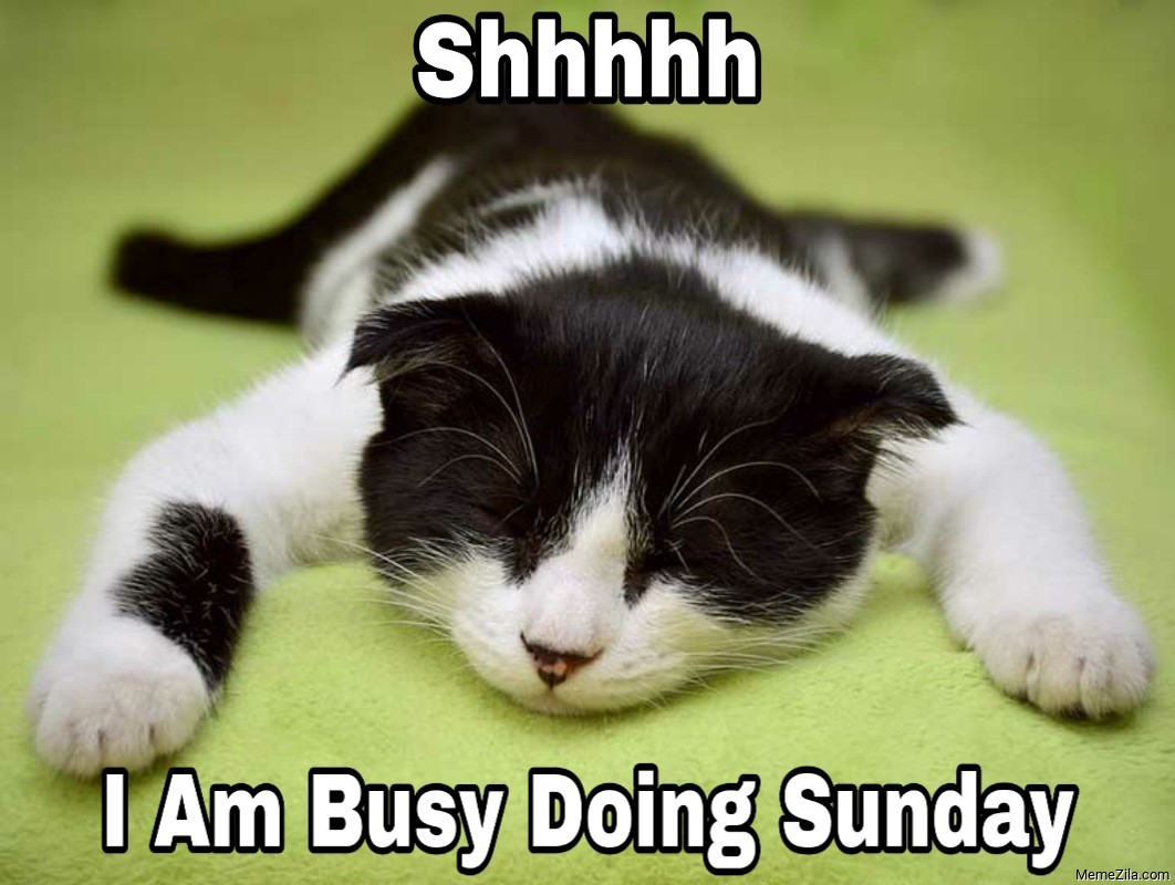 50+ Funny Happy Sunday Memes That Are Perfect for Lazy Sundays